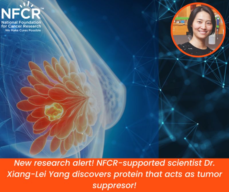 SerRS as a tumor suppressor in breast cancer - NFCR