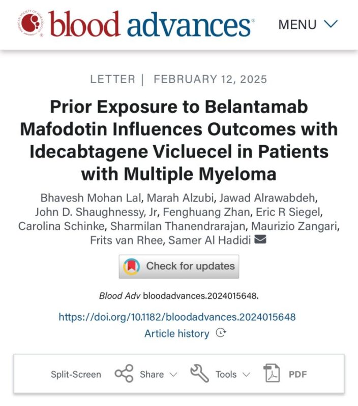 Samer Al Hadidi: Prior Exposure to Belantamab Mafodotin with Idecabtagene Vicluecel in Multiple Myeloma