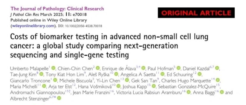 Umberto Malapelle: Costs of biomarker testing in advanced non-small cell lung cancer