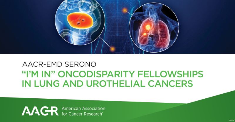 The AACR-EMD Serono “I’M IN” Oncodisparity Fellowships in Lung and Urothelial Cancers