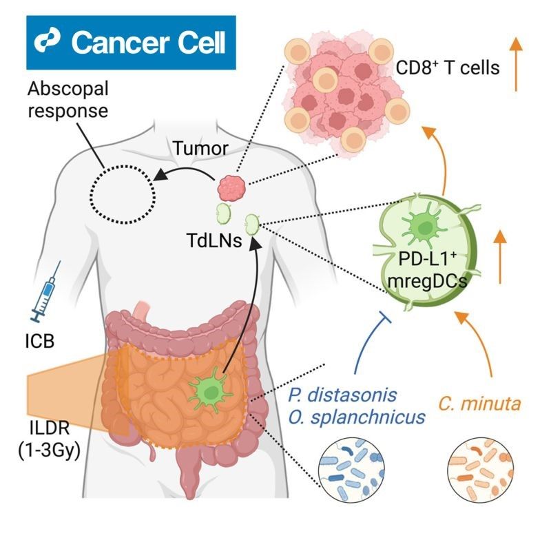 Immunotherapy