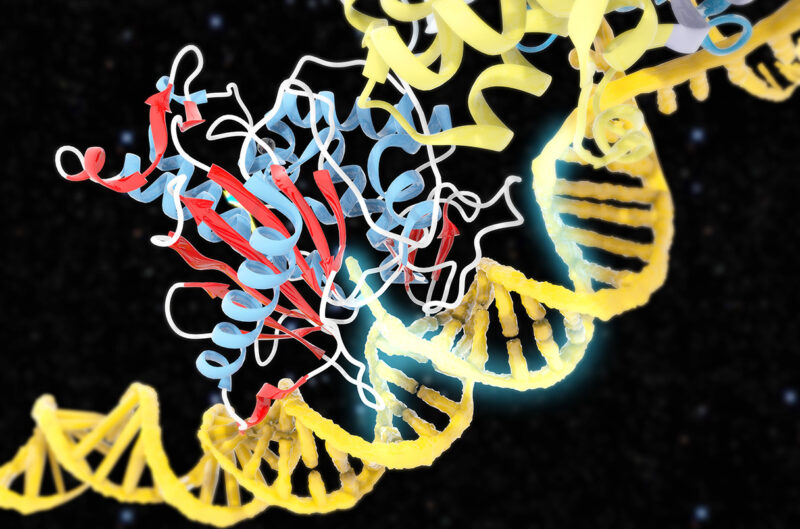 E. Shyam P. Reddy: First CRISPR gene repair in the human body shows promising results