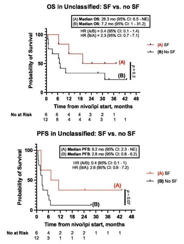 Mohammad Jad Moussa: Nivolumab plus ipilimumab in metastatic variant histology renal cell carcinoma