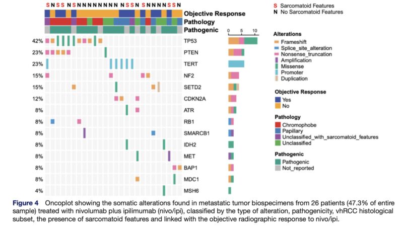 Mohammad Jad Moussa: Nivolumab plus ipilimumab in metastatic variant histology renal cell carcinoma