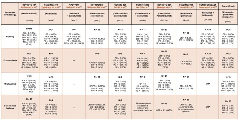 Mohammad Jad Moussa: Nivolumab plus ipilimumab in metastatic variant histology renal cell carcinoma