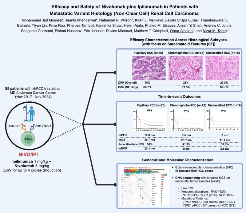 Mohammad Jad Moussa: Nivolumab plus ipilimumab in metastatic variant histology renal cell carcinoma