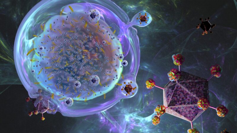 Key Reason Some Cancer Patients Relapse After Receiving CAR-T Cell Therapy – Mayo Clinic