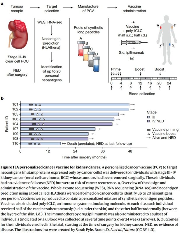 Samuel Hume: Top 5 advances in medicine in February