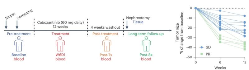 Haydn Kissick: Cabozantinib as a neoadjuvant therapy for patients with clear cell RCC