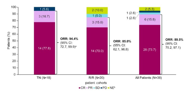 Michael Wang: Triple combination ABR was effective in treatment-naïve or relapsed/refractory MCL