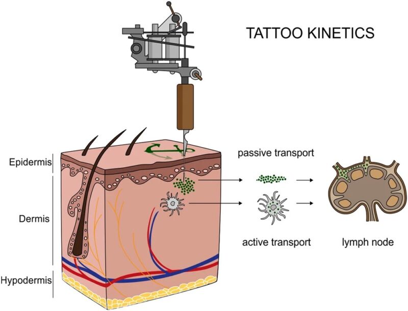 Brandon Luu: A new twin study has strengthened the link between tattoos and cancer risk