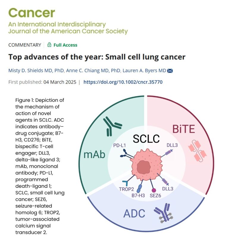 Top advances of the year: Small cell lung cancer - ACS Journal Cancer