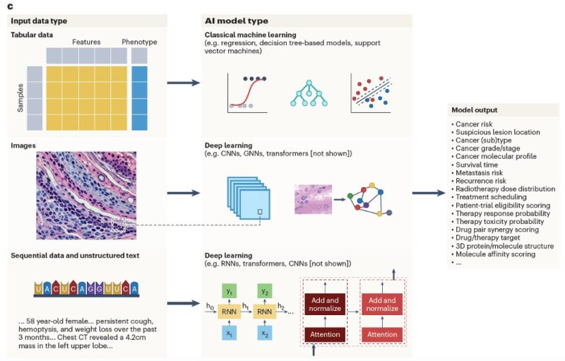 Eytan Ruppin: 10 hallmarks of AI in precision oncology