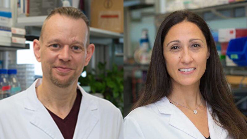 MYC in cancer: from undruggable target to clinical trials