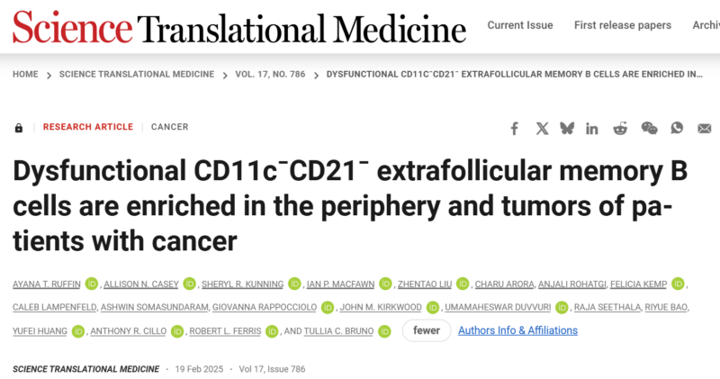 Patrick Hwu: Are B cells important to eliminate cancers?