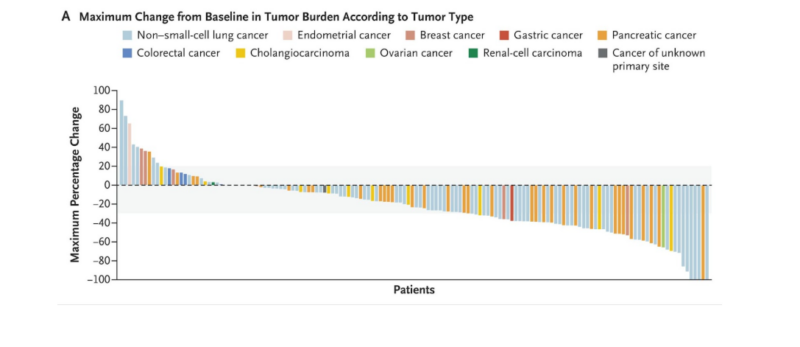 zenocutuzumab efficacy