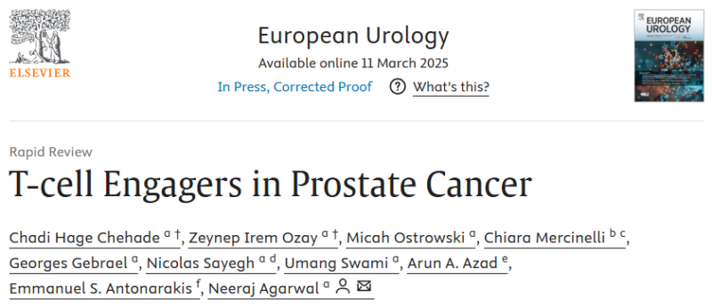 Chiara Mercinelli: A comprehensive overview on the role of T-cell engagers in metastatic prostate cancer