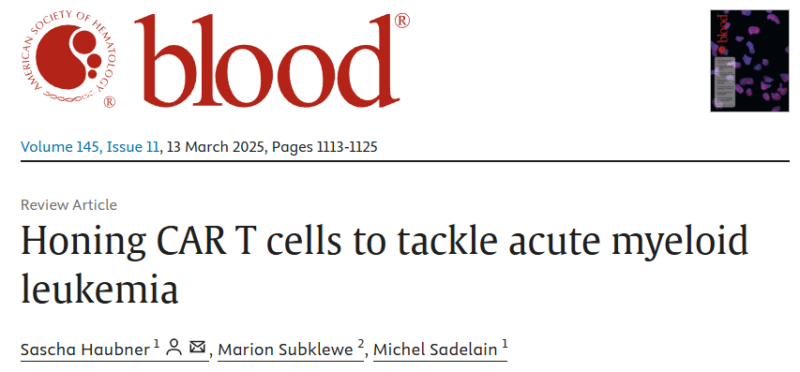 Yan Leyfman: Advancing CAR Therapy for AML