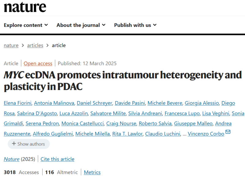 Michele Bevere: The role of ecDNA in pancreatic cancer