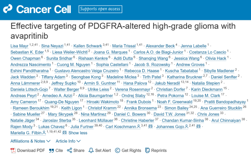 Sina Neyazi: Avapritinib as a novel targeted treatment for pediatric high-grade glioma with PDGFRA alterations