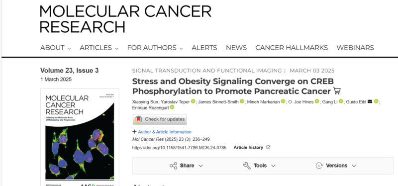 Chronic stress and obesity work together to accelerate pancreatic cancer development and growth