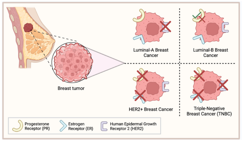 March 3 is the Triple-Negative Breast Cancer (TNBC) Day