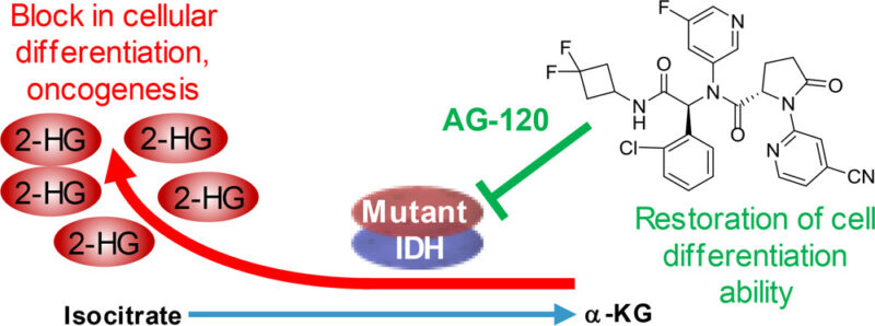 Ivosidenib mechanism of action