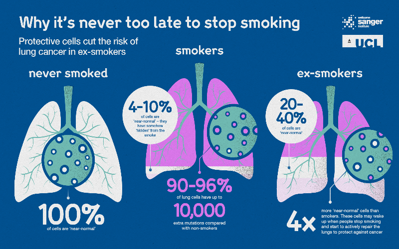 What cause lung cancer, smoking