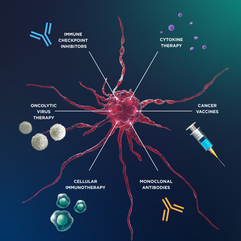 Understanding Cancer Immunotherapy The Basics Understanding Cancer Immunotherapy The Basics