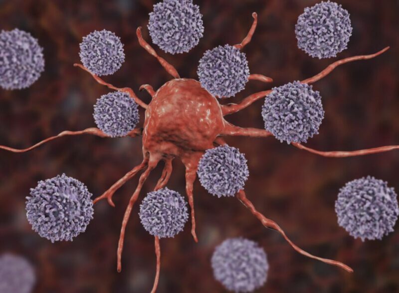 Richard Sullivan: The 2025 model lists of essential medicines for cancer