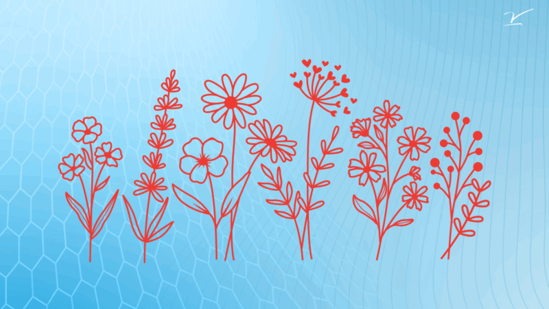 Susanna Fletcher Greer: From weeds to warriors - how cancer’s helpers are becoming its worst enemy