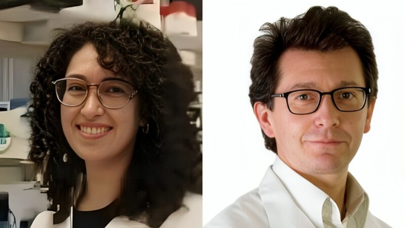 Exciting insights from Nature Aging summarize the intricate relationship between aging and cancer – The Babak Lab