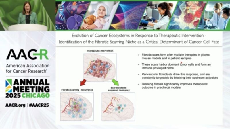 Jennifer Buell: Great Pres by Johanna Joyce at AACR25