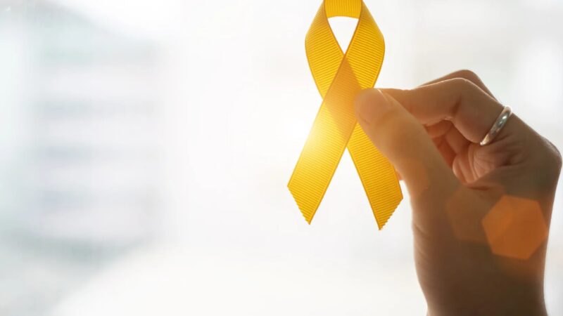 Megan’s Rose of Hope: a charity dedicated to making a difference in the fight against childhood cancer – ICR