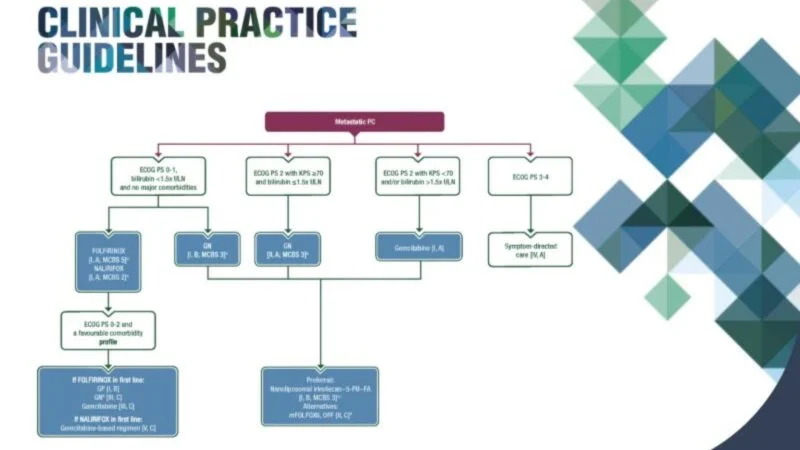 ESMO Clinical Practice Guideline Express Update on the management of metastatic pancreatic cancer
