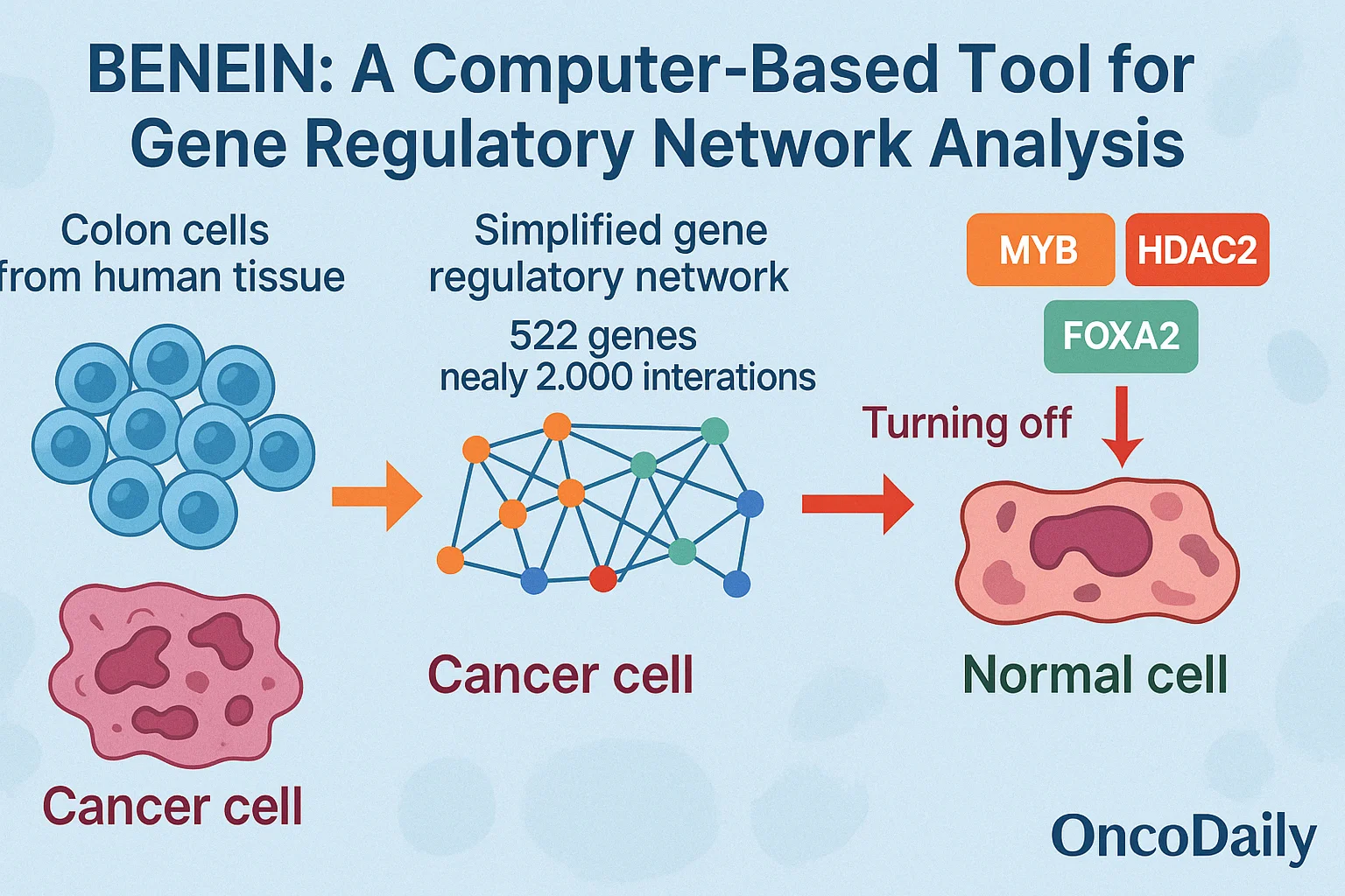 South Korean Scientists at KAIST Reprogram Colon Cancer Cells in Breakthrough That Could Change Oncology - OncoDaily