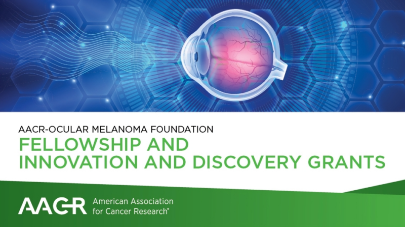 AACR-Ocular Melanoma Foundation grants support ocular/uveal melanoma research