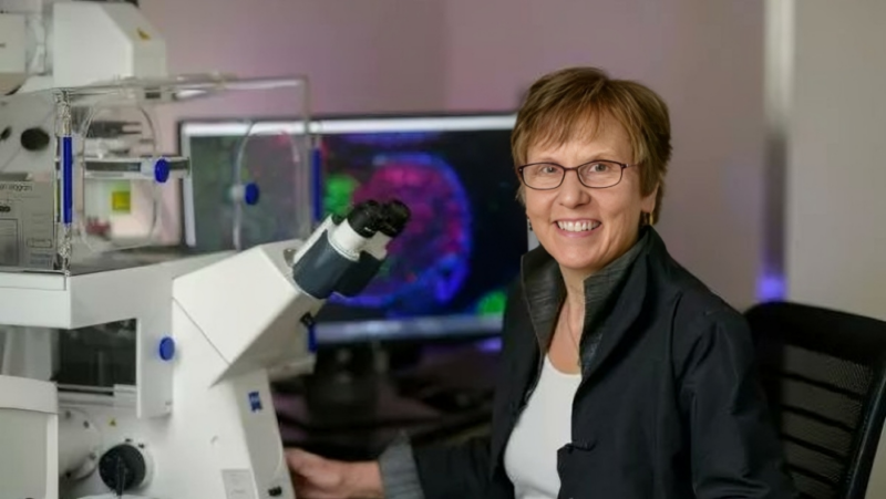 Looking Back, Looking Ahead With MSK Developmental Biologist Alexandra Joyner – MSKCC