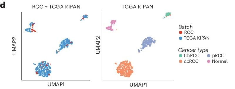 Katy Beckermann: New Paper in Nature Cancer - UnitedMet Enables Metabolic Profiling from RNA-Seq