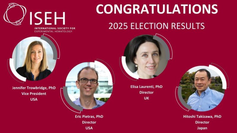 Incoming 2025-2026 ISEH Board of Directors