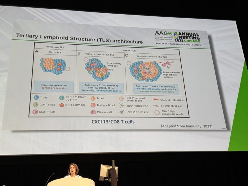 Christine Lovly: Brilliant discussion of bladder cancer and TLS during plenary session by Sangeeta Goswami at AACR25