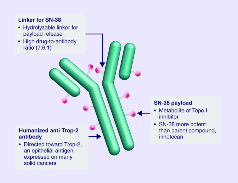 Sacituzumab Govitecan (Trodelvy): What Patients Need to Know in 2025? 2 sacituzumab govitecan