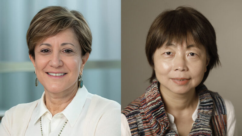 Caryn Lerman: Yali Dou has been elected as a fellow of AAAS