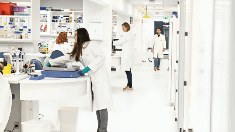 Join the Genome Integrity Group at the Danish Cancer Institute