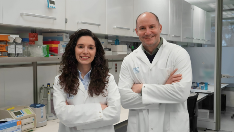 Oxygen-starved cancer cells develop similar survival strategies as the Sherpa population of the Himalayan region – VHIO