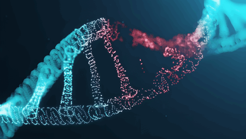 Insights into the protective role of the BRCA2 gene – Cancer Research Institute