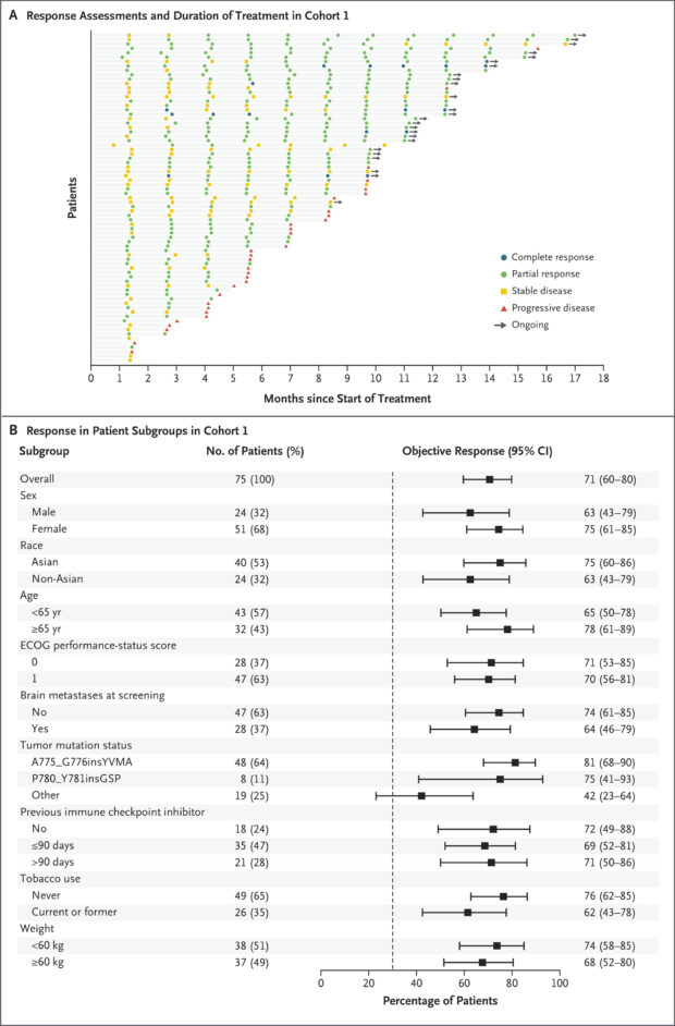 Zongertinib in HER2 mutated NSCLC