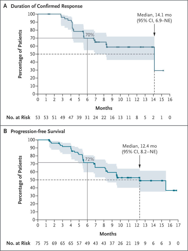 Zongertinib in HER2 mutated NSCLC 
