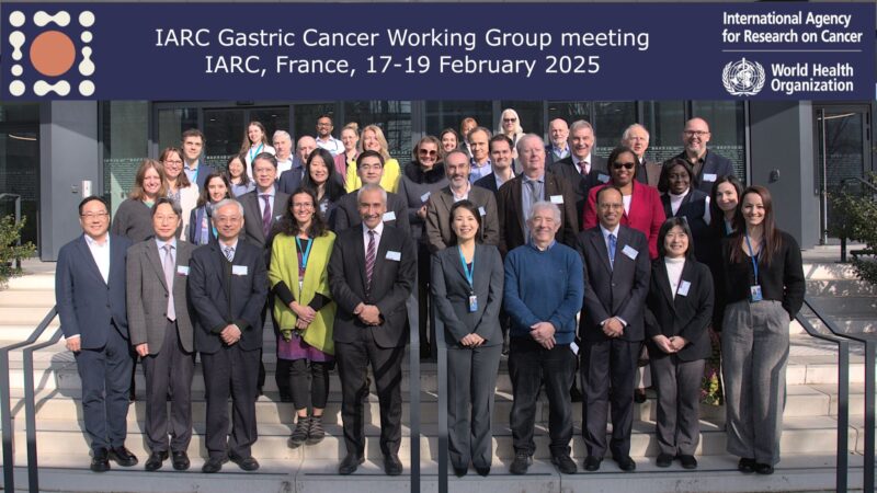 Population-based Helicobacter Pylori Screen-and-treat Strategies for Gastric Cancer Prevention – IARC