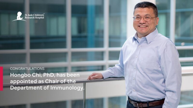 Hongbo Chi Has Been Appointed as Chair of the Department of Immunology at St. Jude Children’s Research Hospital